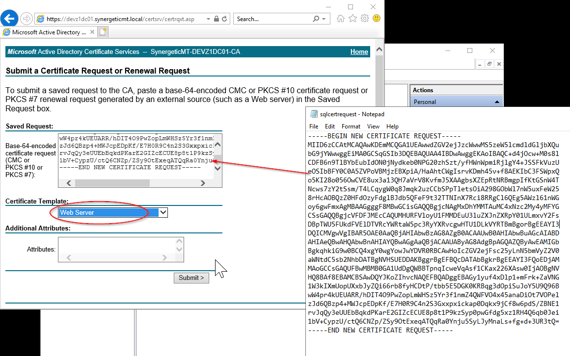 SQL Server Network Traffic Encryption (TLS)